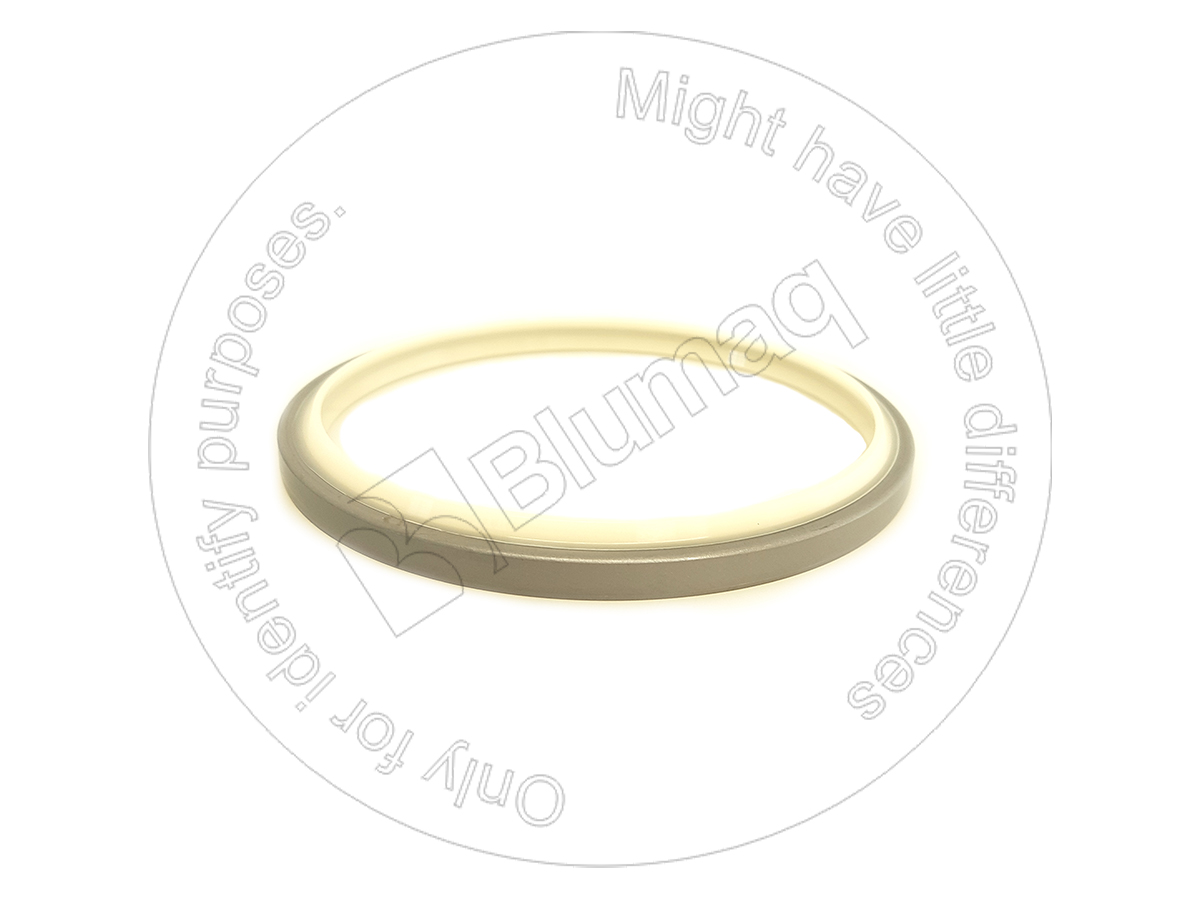7075616670 Dust Seal