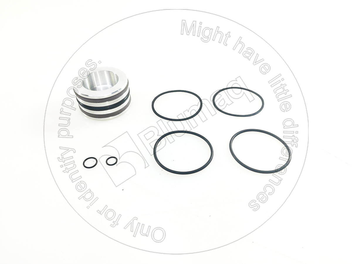 259-0620 Seal Kit for BLUMAQ