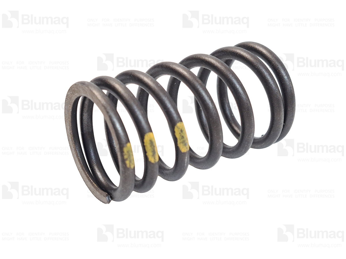 DZ03369305 Valve Spring for BLUMAQ