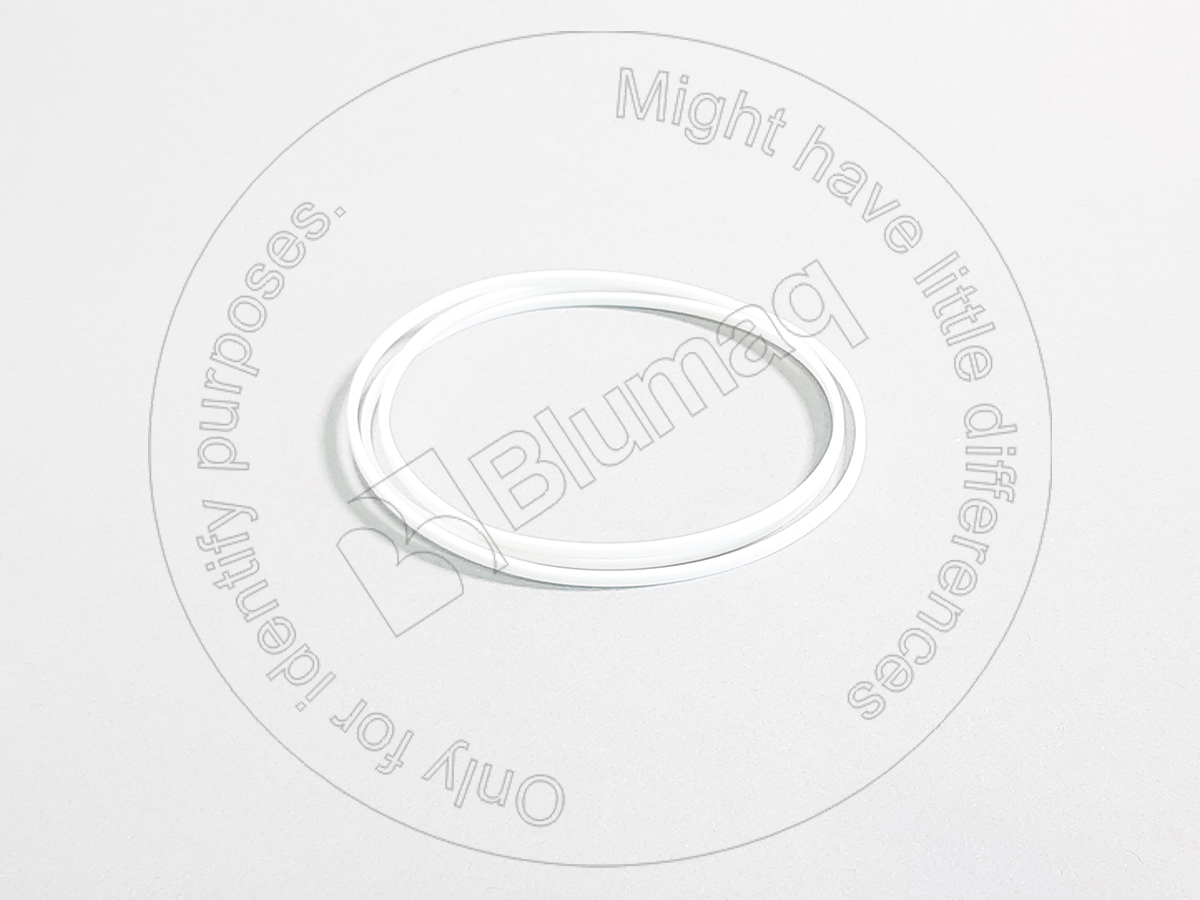 3S-1282 Segment for BLUMAQ