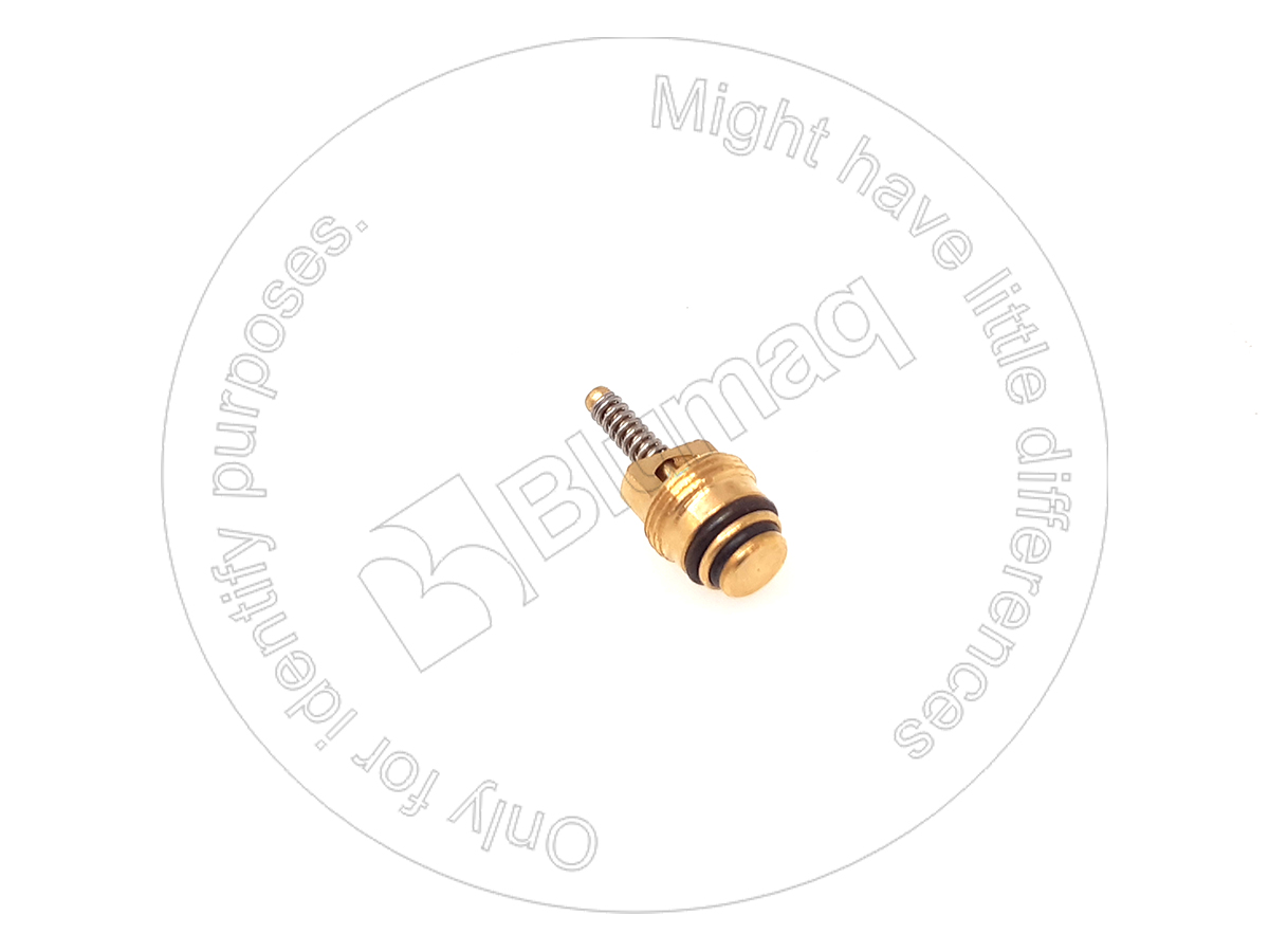 3E-4058 Valve for BLUMAQ