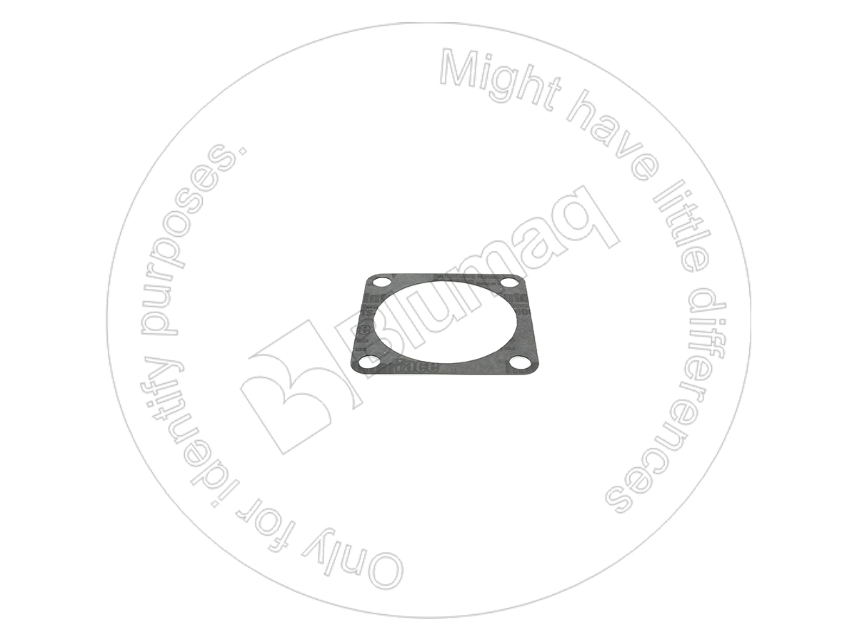 CSSBA165996110 Gasket
