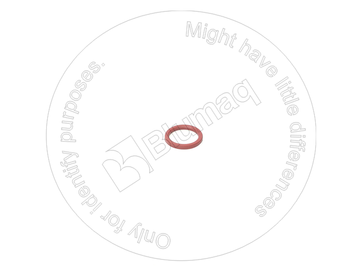 032.172 Seal for BLUMAQ