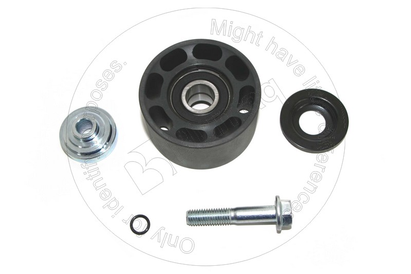 172-2242 Pulley for BLUMAQ