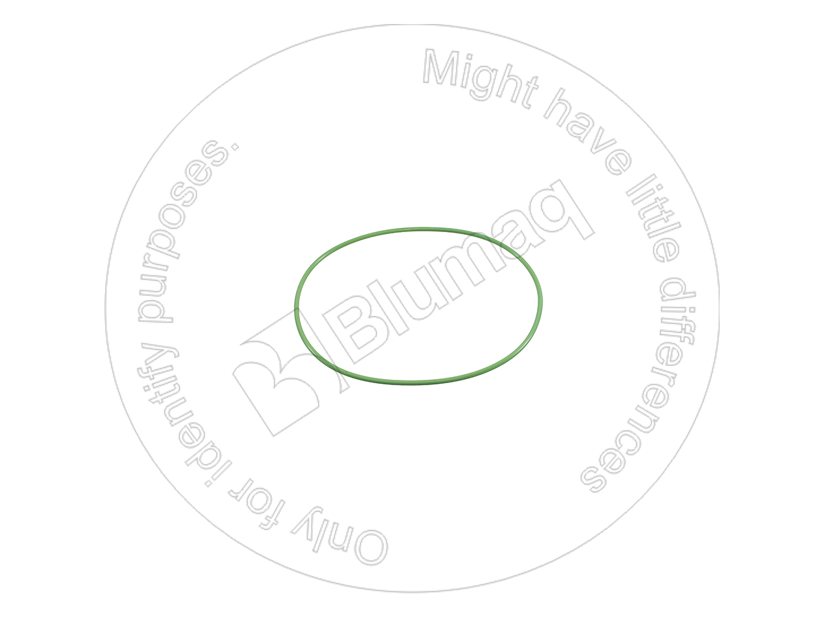 900.01798 Seal O-ring for BLUMAQ