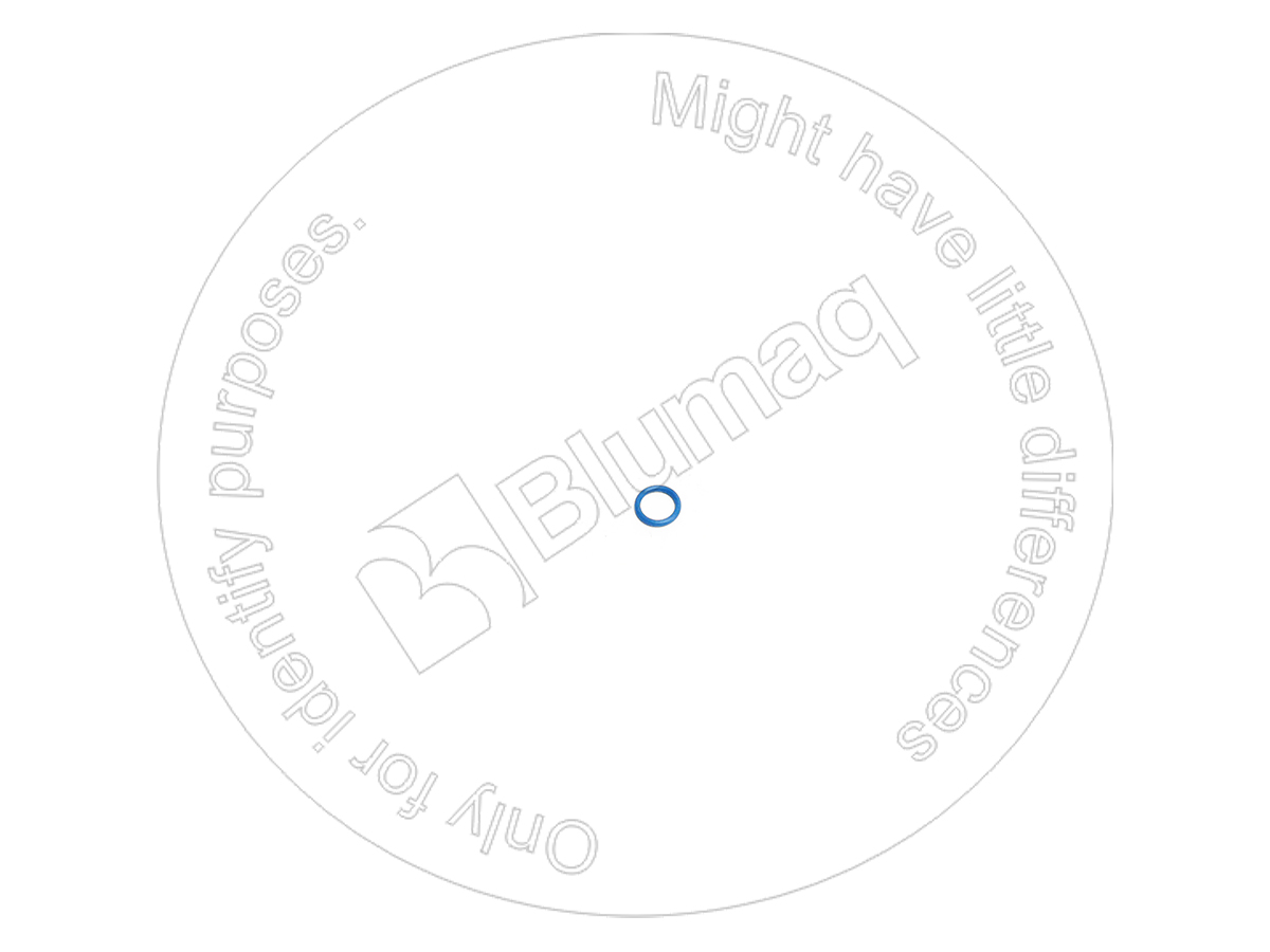 228-4947 Seal O-ring for BLUMAQ