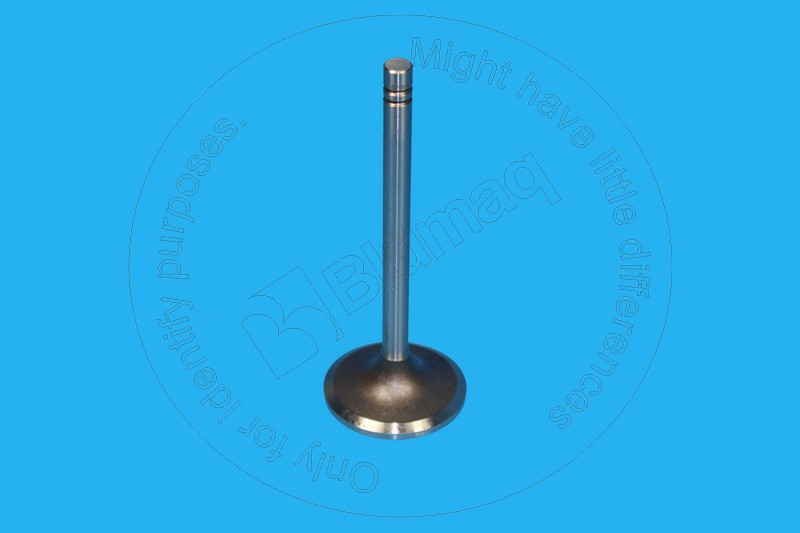 6N-9915 Intake Valve for BLUMAQ
