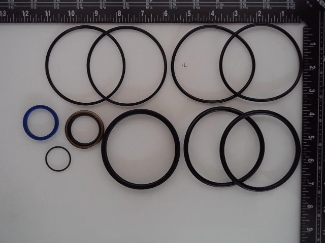 700723342 Seal Kit for AGCO
