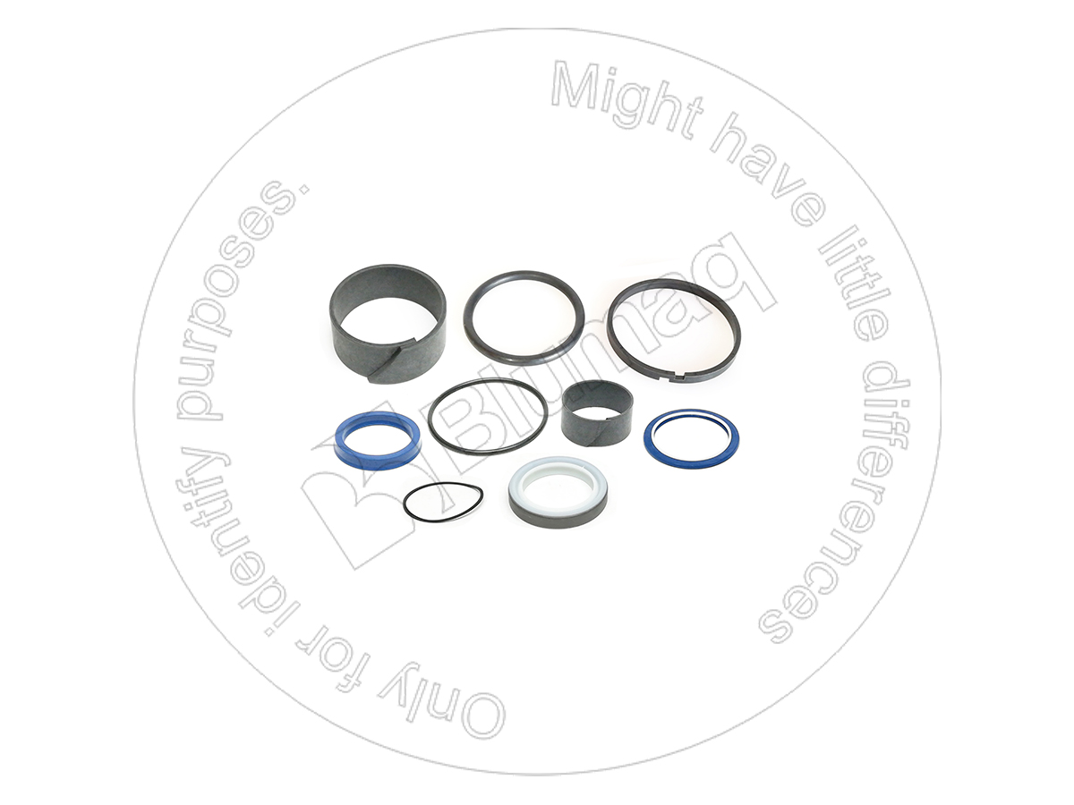 241-0109 Hydraulic Seal Kit for BLUMAQ