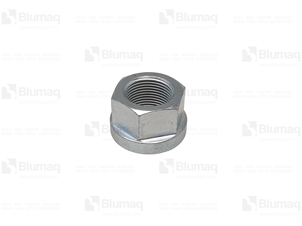 CS153315555 Nut