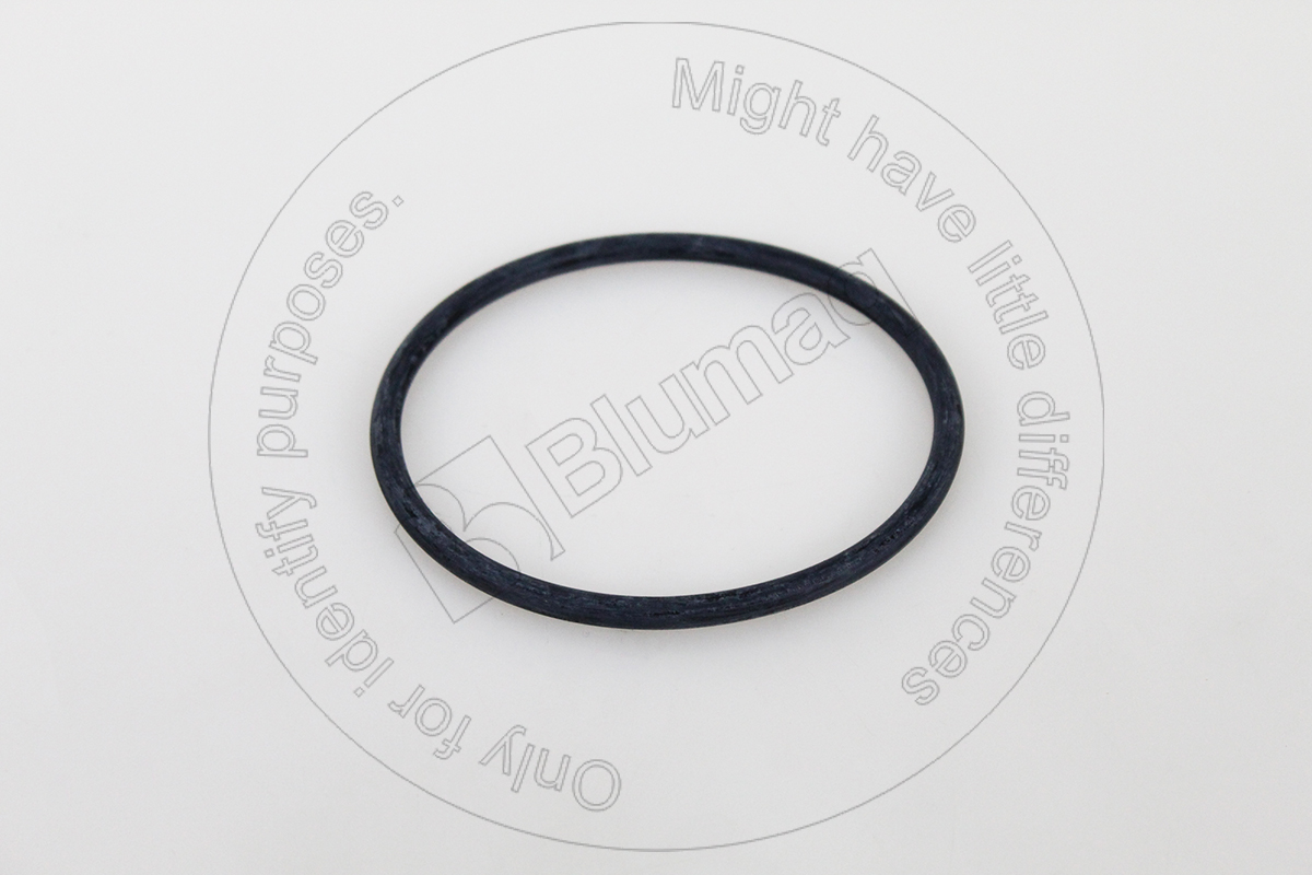 095-1556 Seal O-ring for BLUMAQ