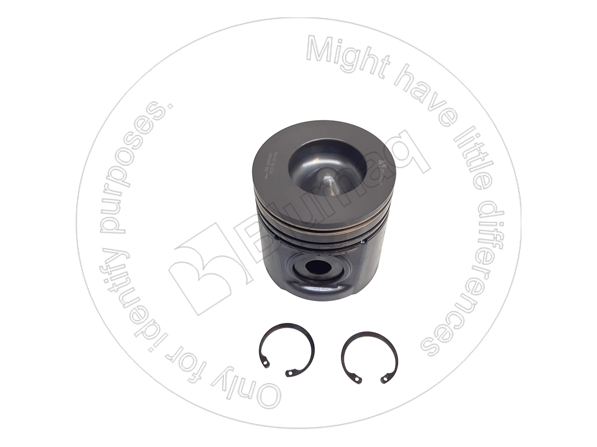 508-1899 Piston & Rings