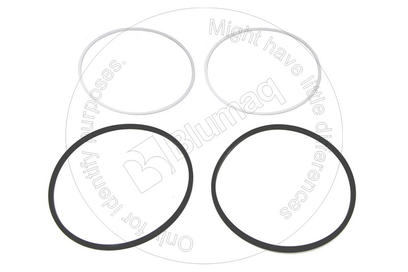 566-40-42930 Seal Kit for BLUMAQ