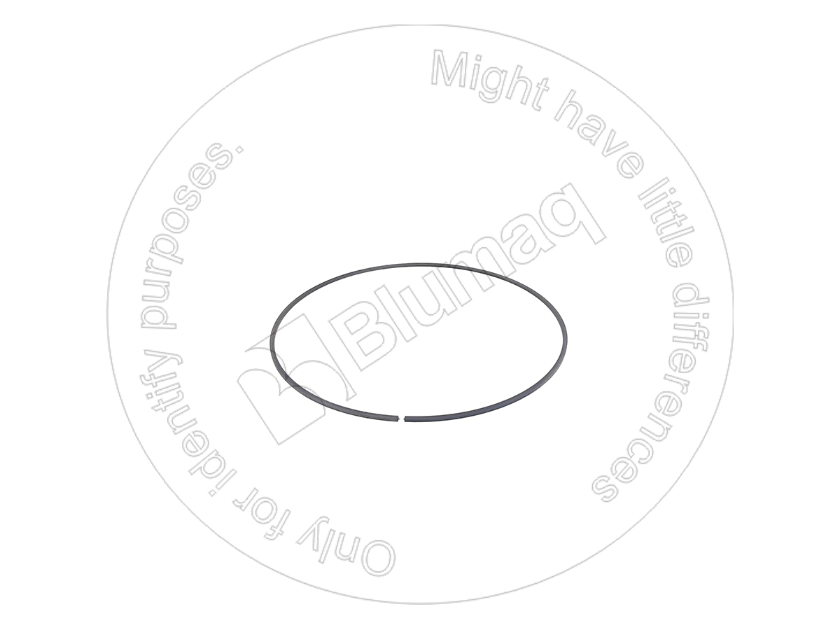 6P-8264 BLUMAQ Segment