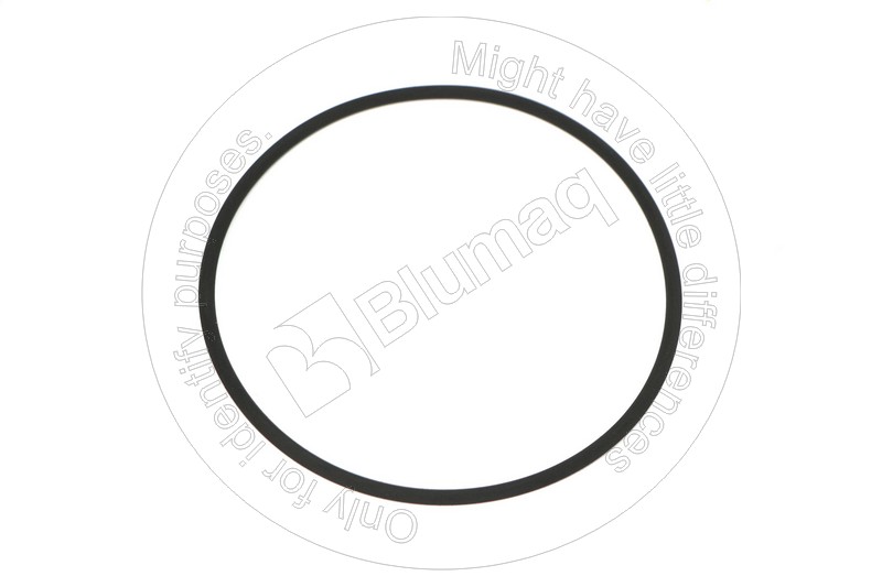 419-09-H2210 Seal O-ring for KOMATSU