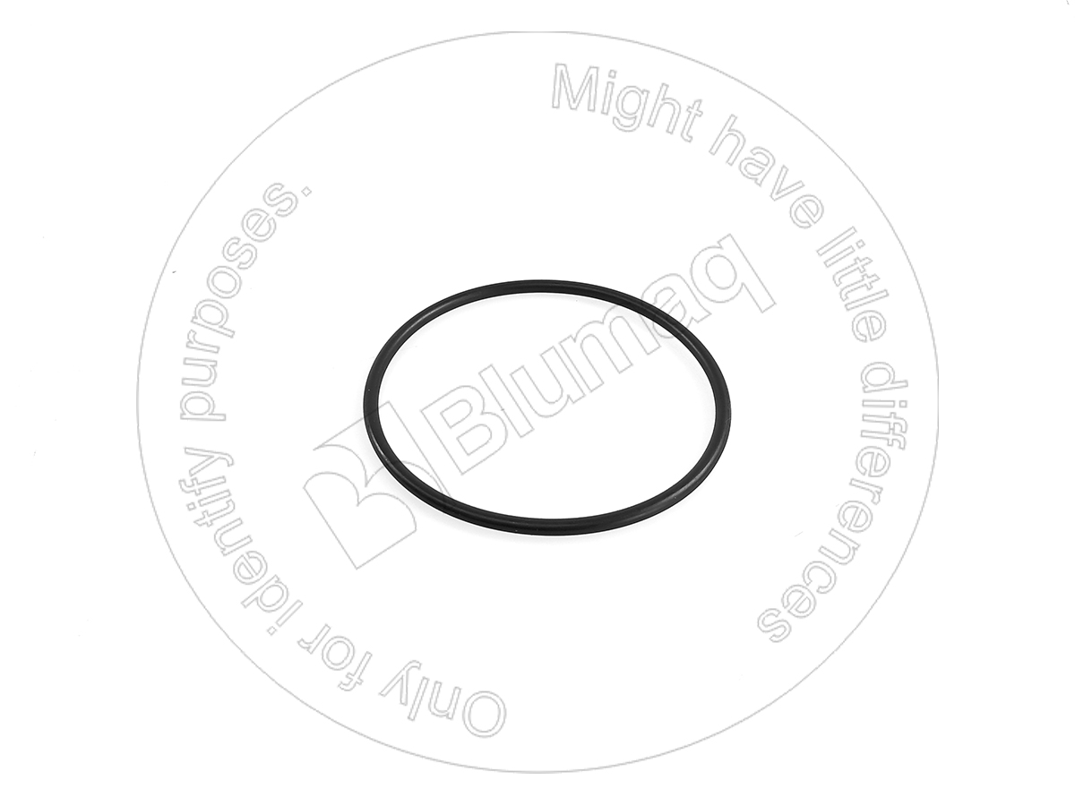 07000-05125 Seal O-ring for BLUMAQ