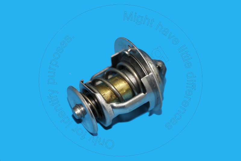TK024013 BLUMAQ Thermostat