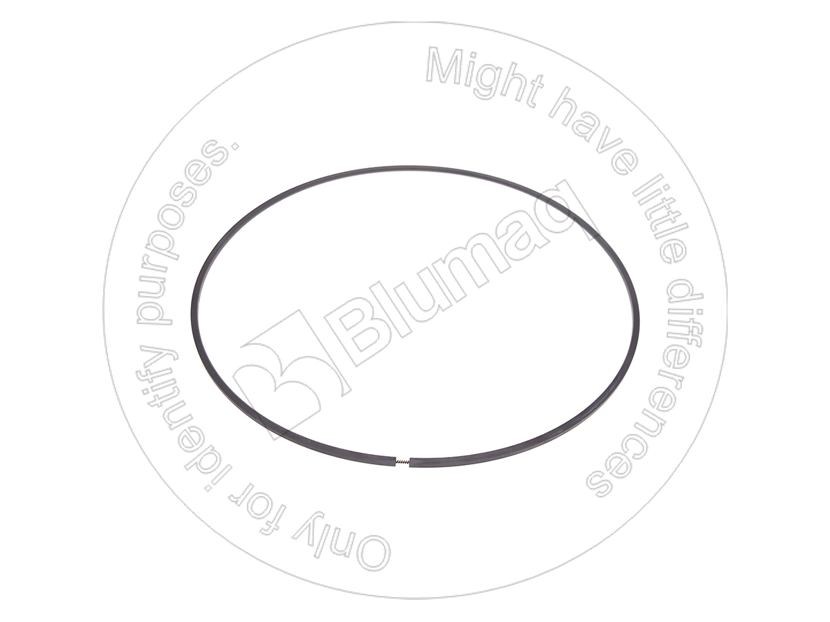 6P-8258 Seal Ring for BLUMAQ