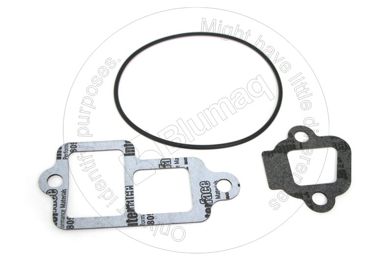 297-1744 Gasket Kit for BLUMAQ