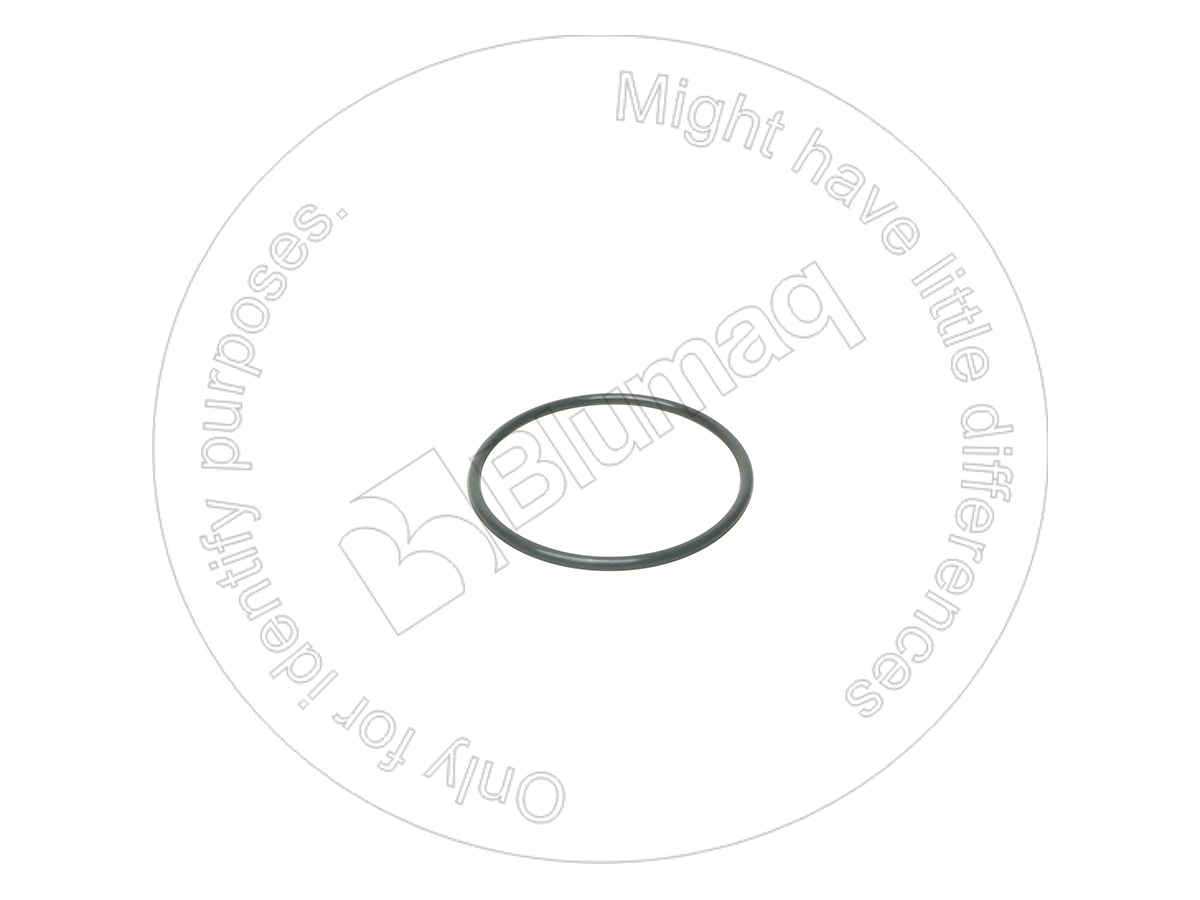 900.04094 Seal O-ring for BLUMAQ