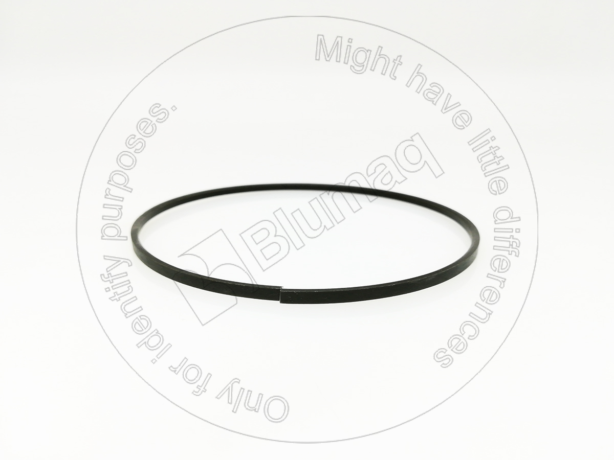 9P-7118 Segment for BLUMAQ