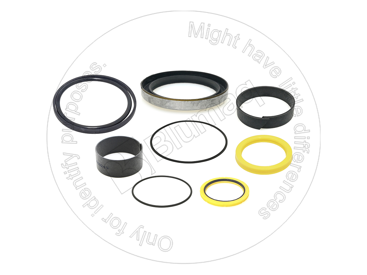 217-9894 Ripper Cyl. Seal Kit for BLUMAQ
