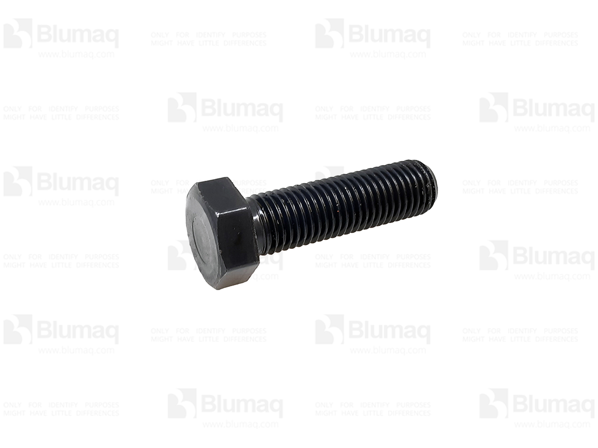 102.537 Bolt for BLUMAQ