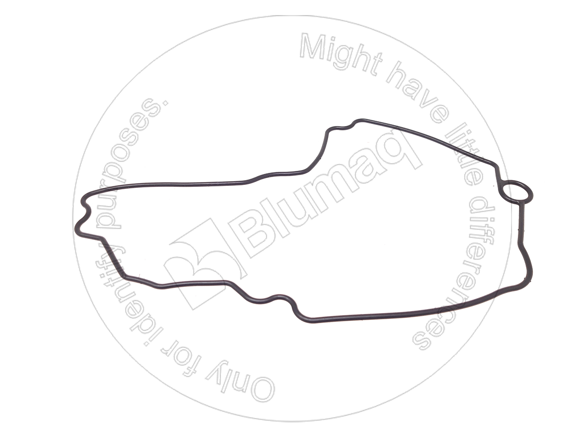 240-7032 Seal for BLUMAQ