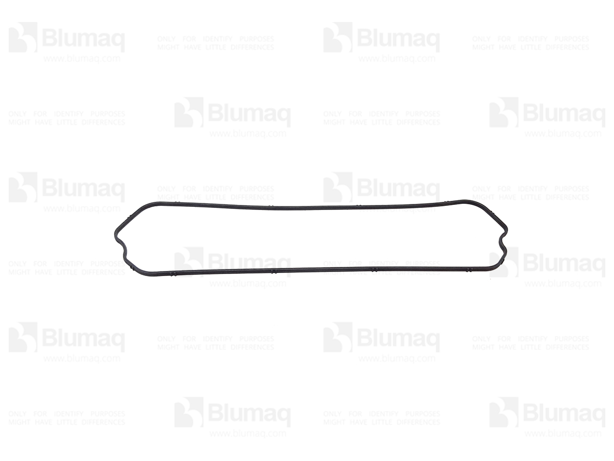 VO471520 Gasket for BLUMAQ