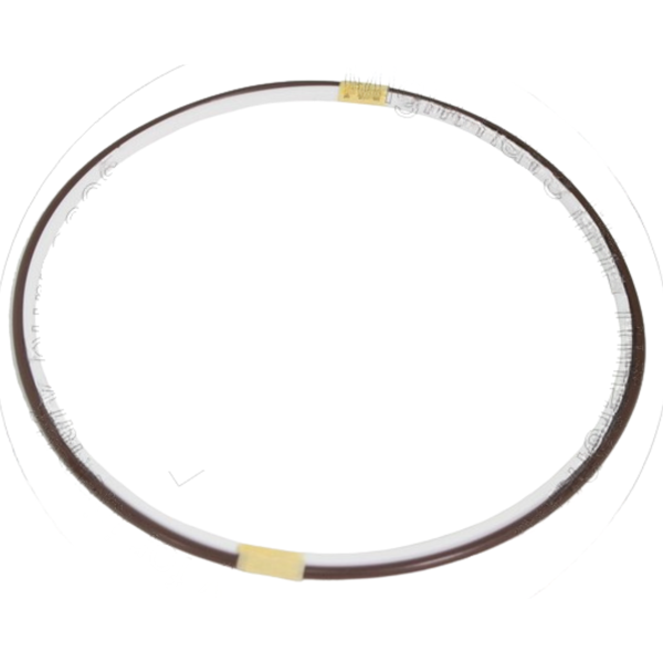 CS1479888 Piston Seal