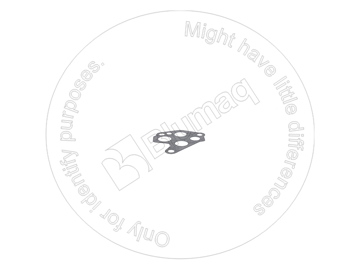 VO11036098 Gasket for BLUMAQ
