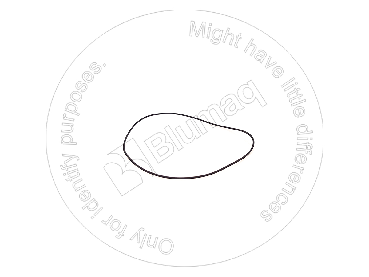 3E-6770 Seal O-ring for BLUMAQ