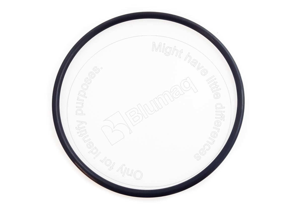099-4846 Seal O-ring for BLUMAQ