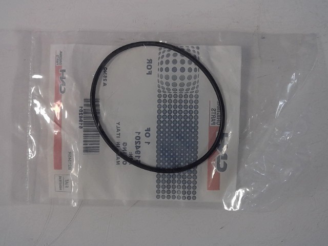 5194201 CASE Seal O-ring