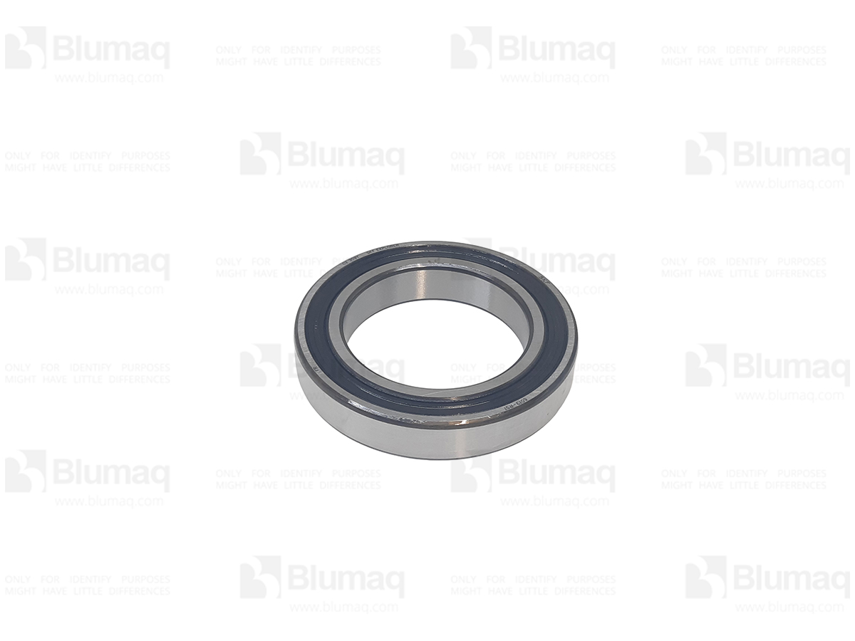 6013RS Bearing for BLUMAQ
