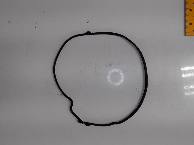 1841974C1 Gasket for AGCO