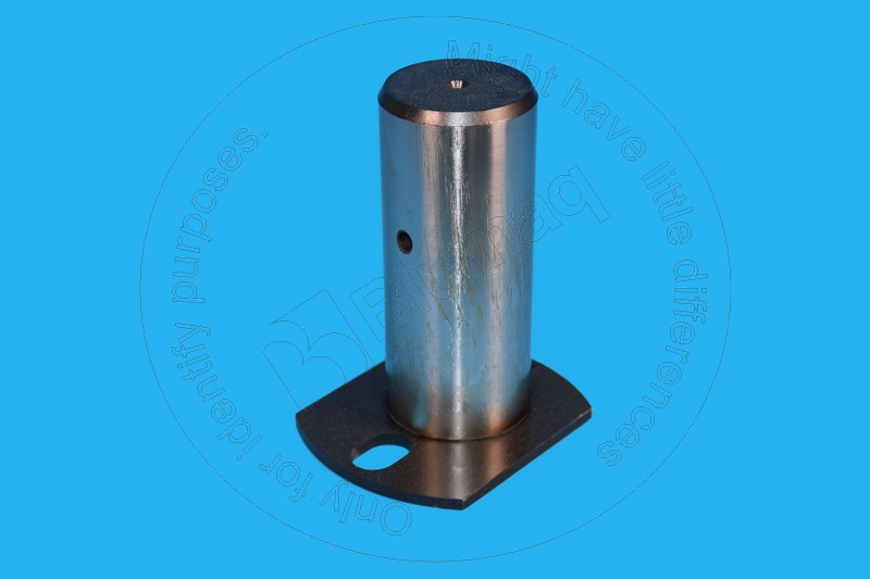 4244643110 Pin for BLUMAQ