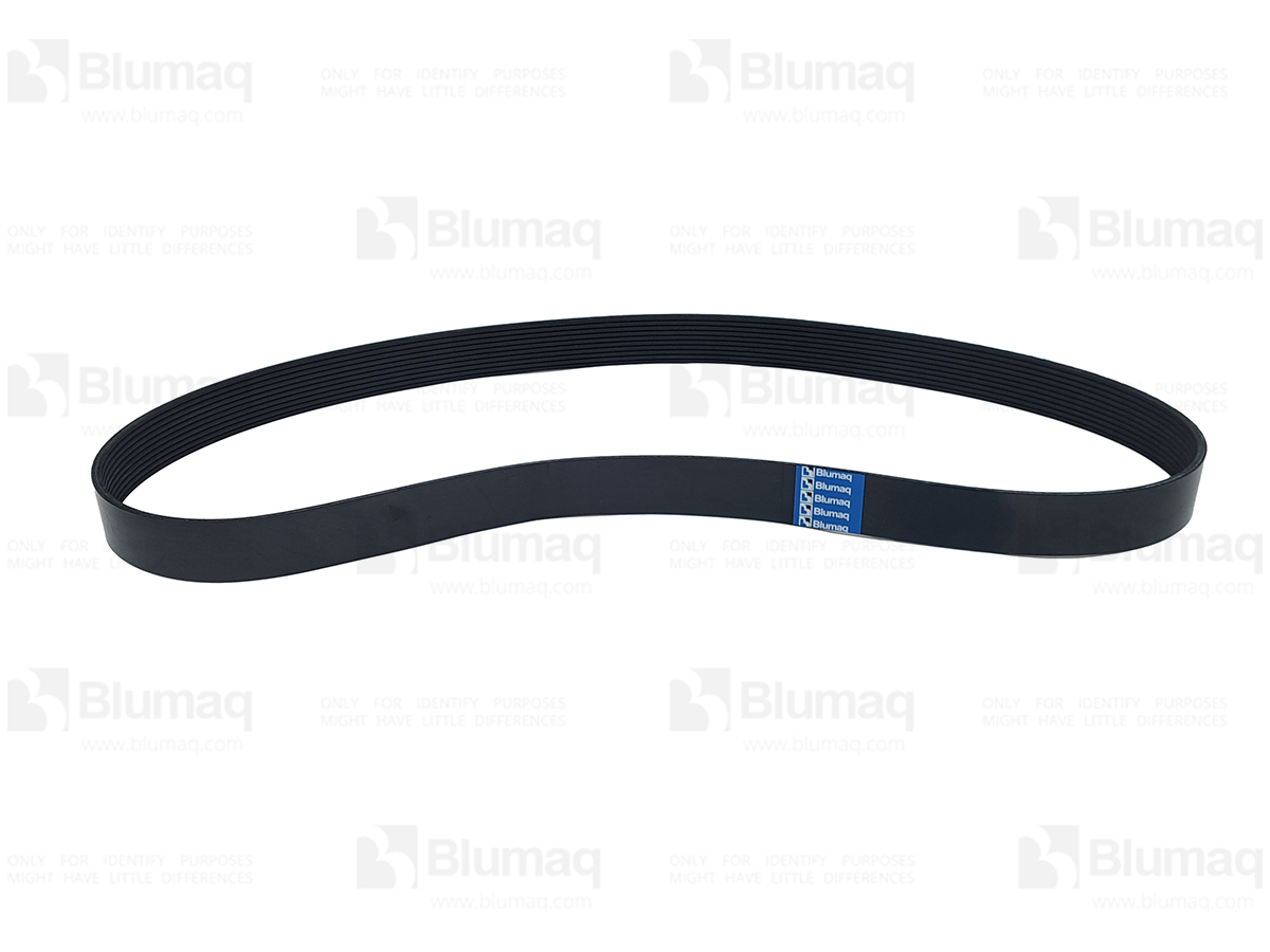 900.03831 Ribbed Belt for BLUMAQ