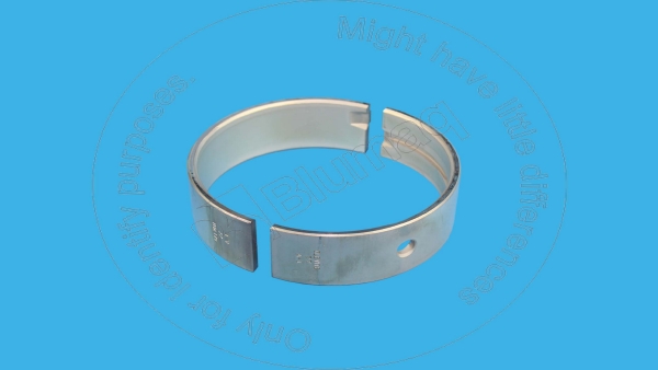 419-7250 Main Bearing Std.