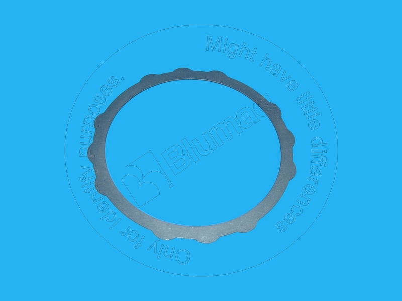 170-9990 Plate for BLUMAQ