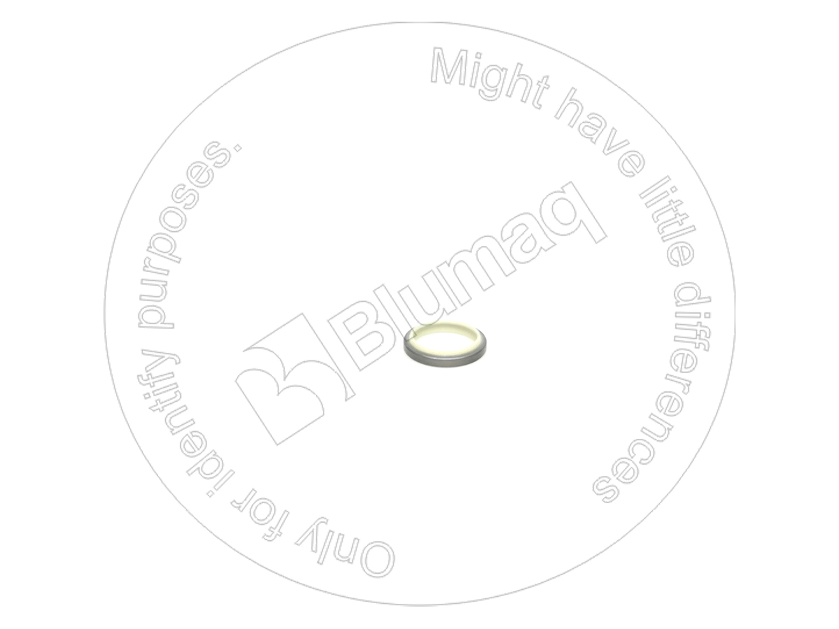 855661194 Dust Seal for BLUMAQ