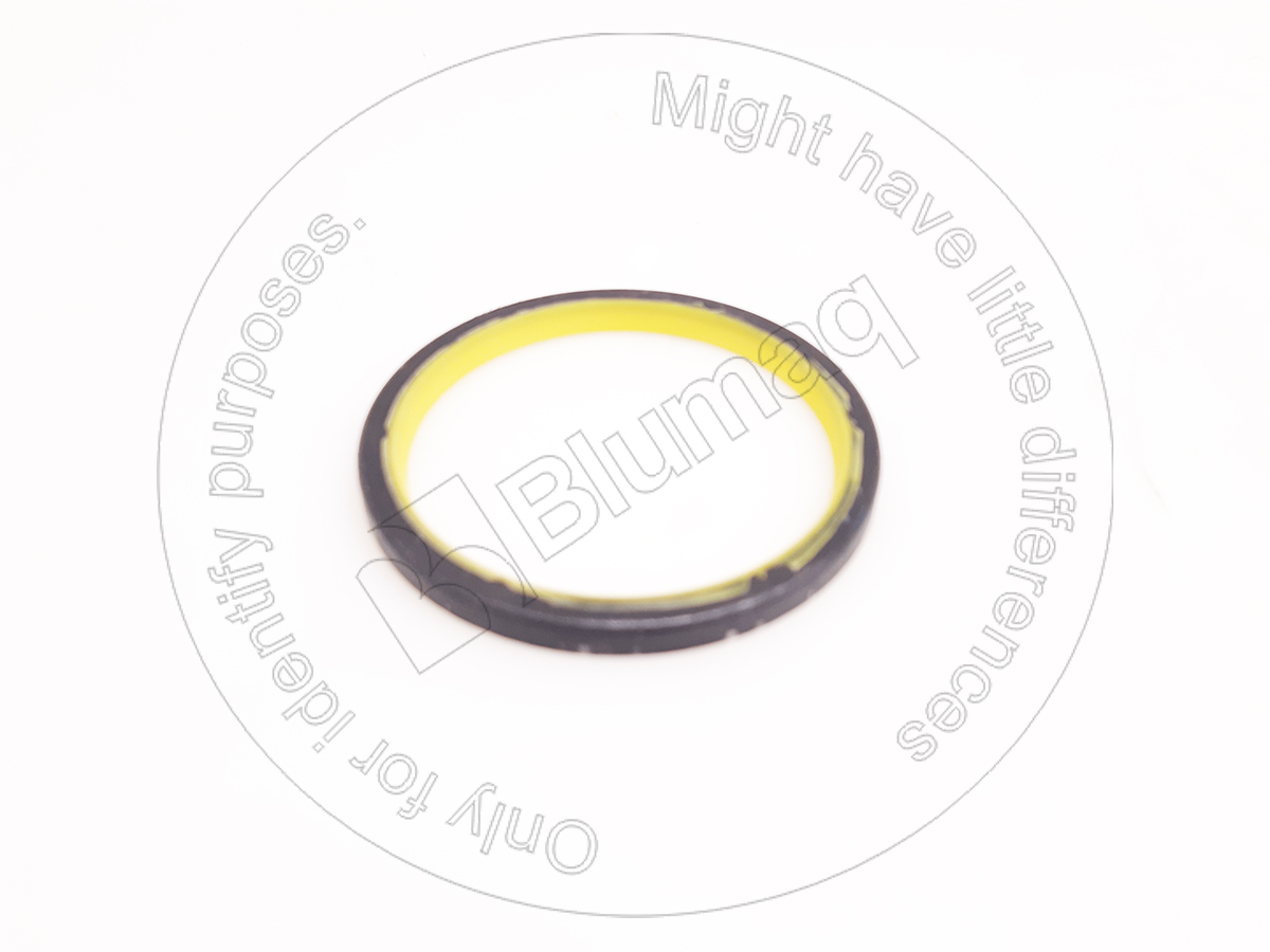 7X-4803 Seal