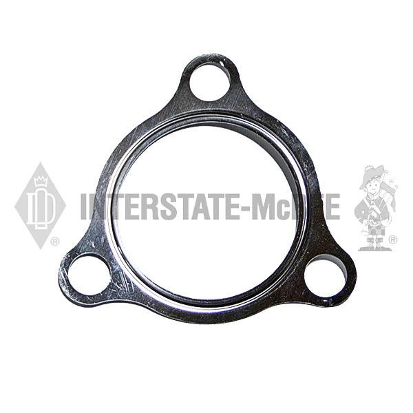 M-3631230 Gasket - Adapter