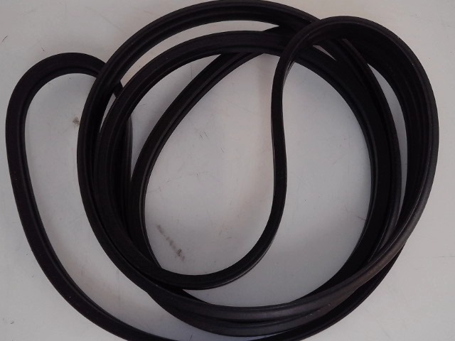 71406339 AGCO Belt