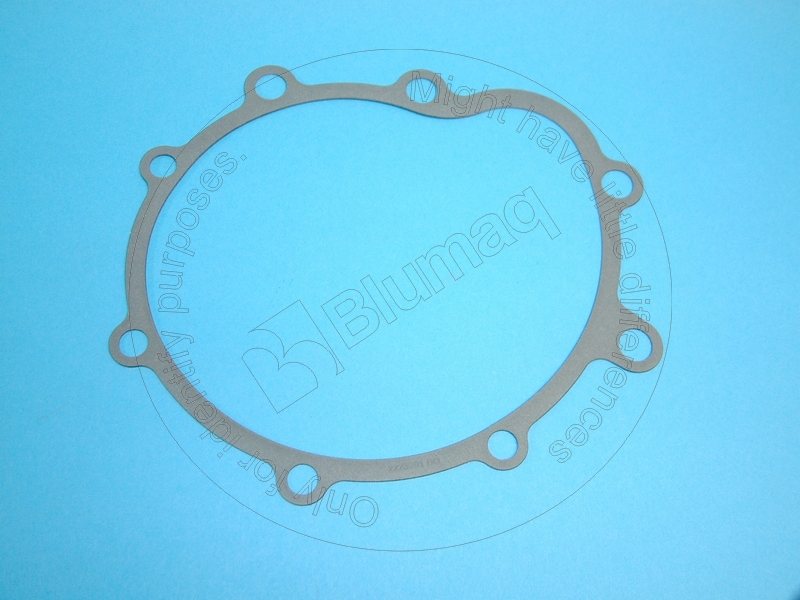 222-3901 BLUMAQ Gasket