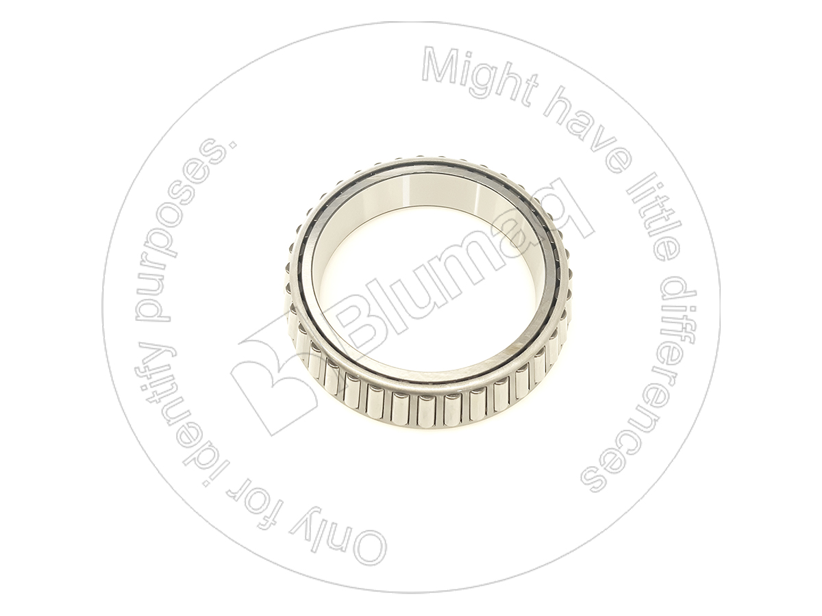 CSG100239 BLUMAQ Bearing