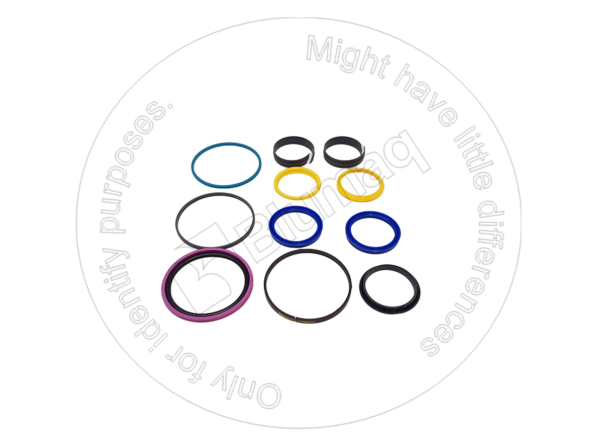 226-4332 Seal Kit for BLUMAQ