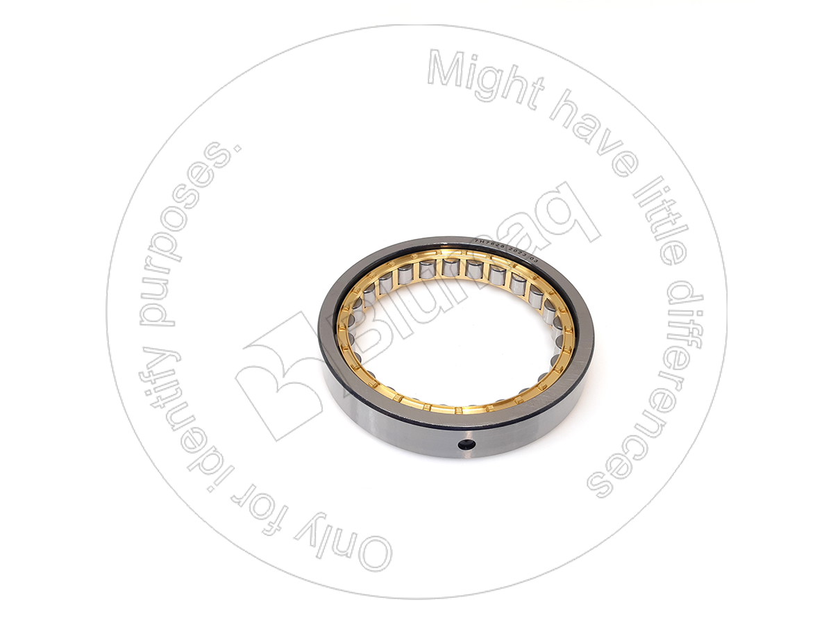 7H-7628 Bearing for BLUMAQ