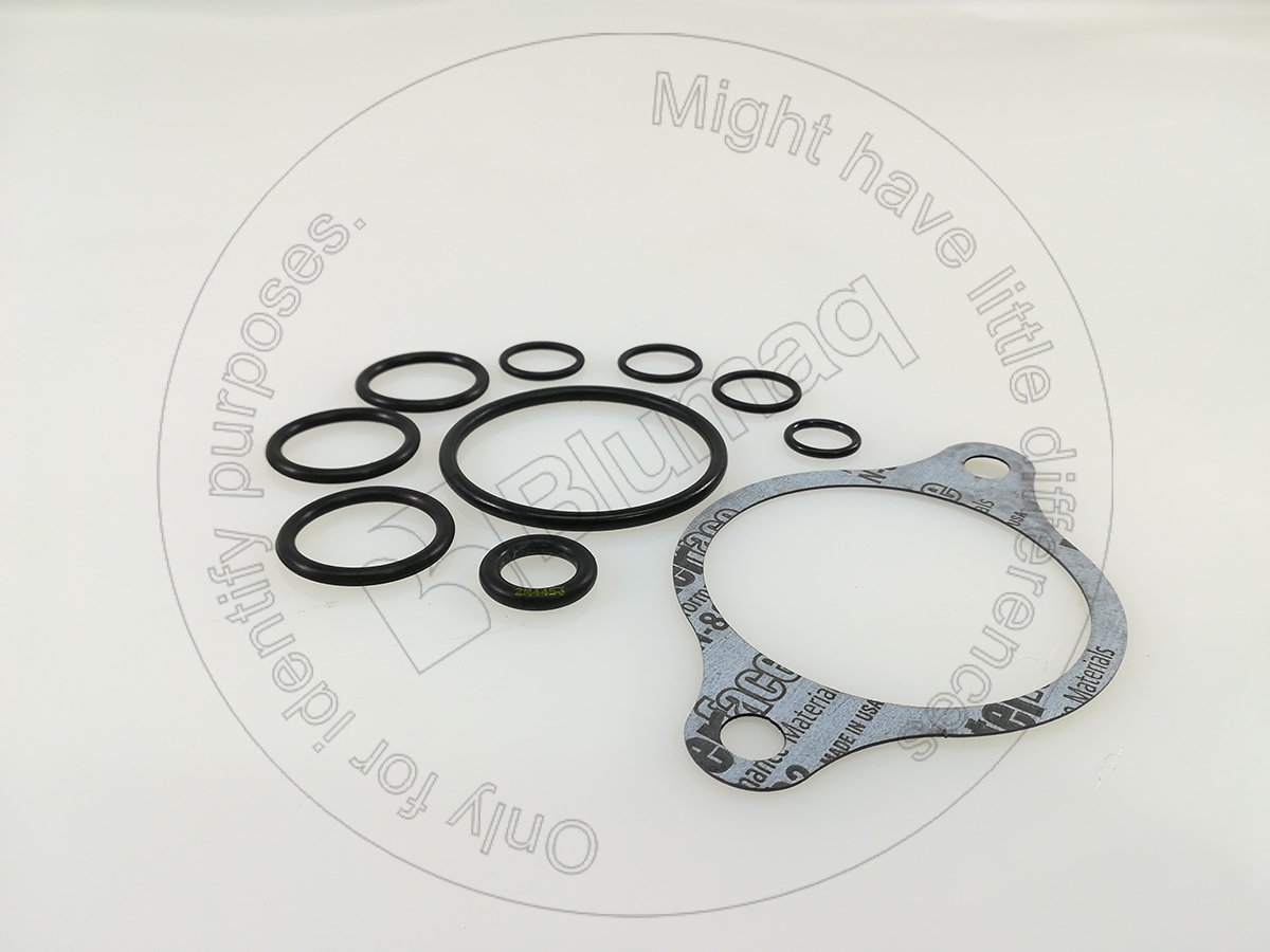 264-3660 BLUMAQ Gasket Kit