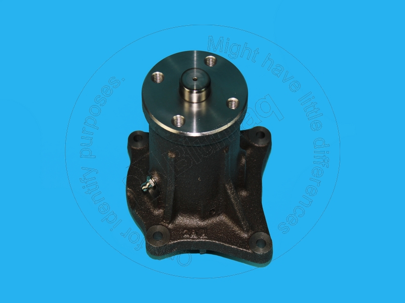 125-2991 Water Pump for BLUMAQ